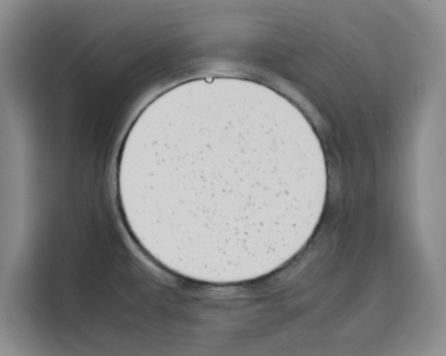 X0000113261479200910221029