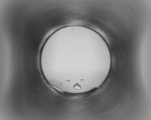 X0000113261480200910221029