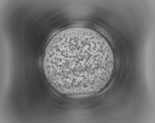 X0000113261481200910221029