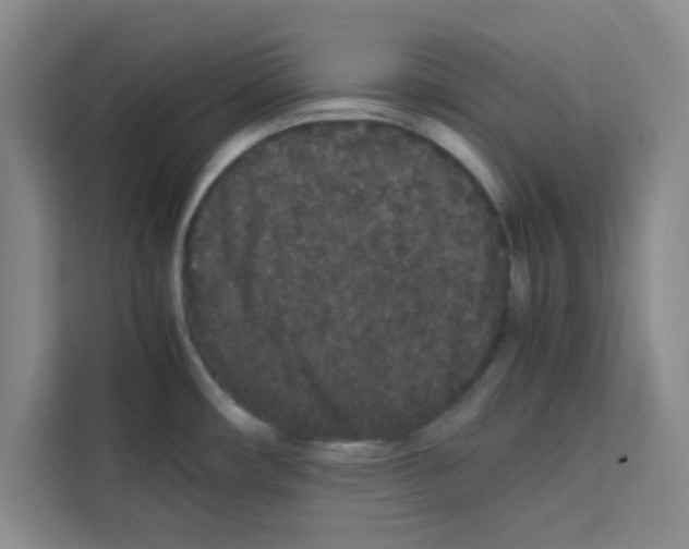 X0000113261482200910221029