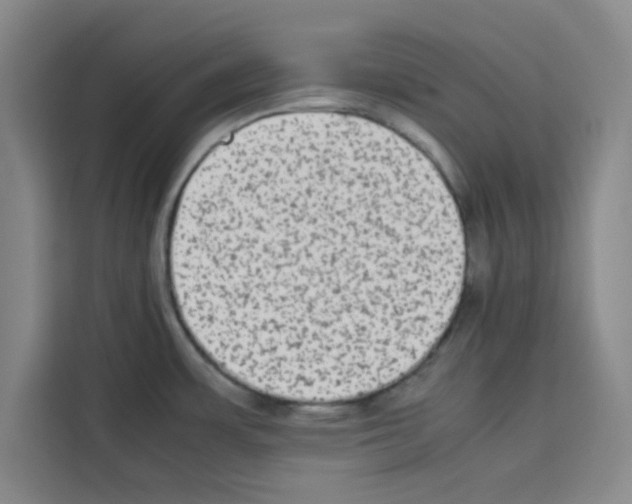 X0000113261483200910221029
