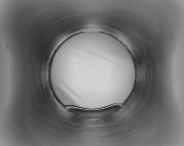 X0000113261484200910221029