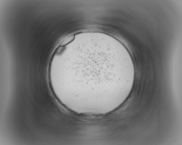 X0000113261485200910221029