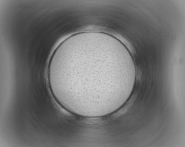 X0000113261486200910221029