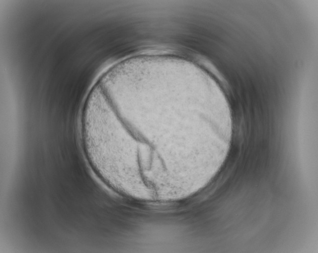 X0000113261487200910221029