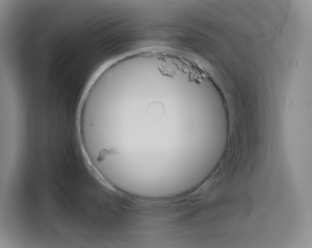 X0000113261488200910221029