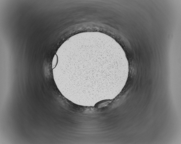 X0000113261490200910221028
