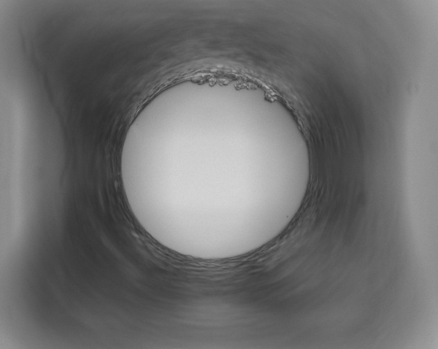 X0000113261492200910221028