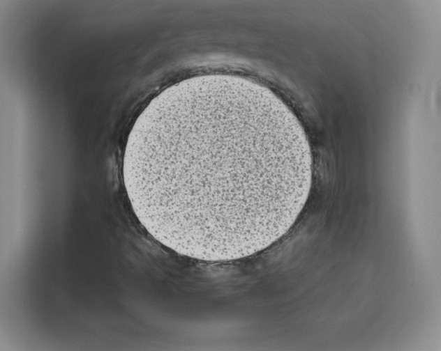 X0000113261493200910221028