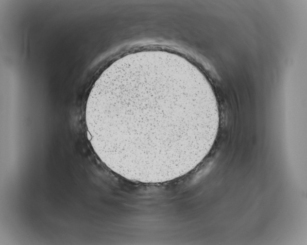 X0000113261494200910221028