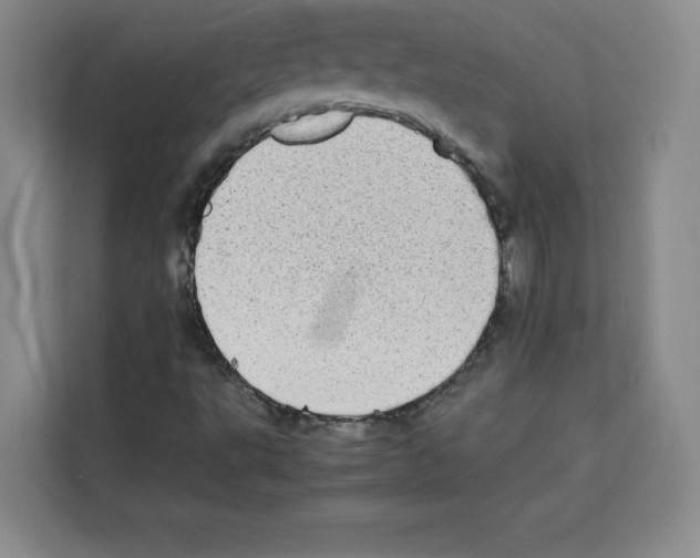 X0000113261495200910221028