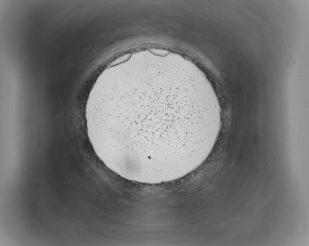 X0000113261496200910221028