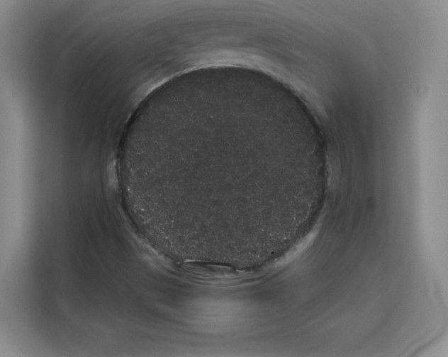 X0000113261497200910221028