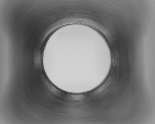 X0000113261498200910221028
