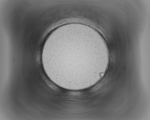 X0000113261499200910221028