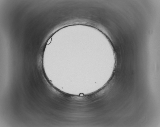 X0000113261500200910221028