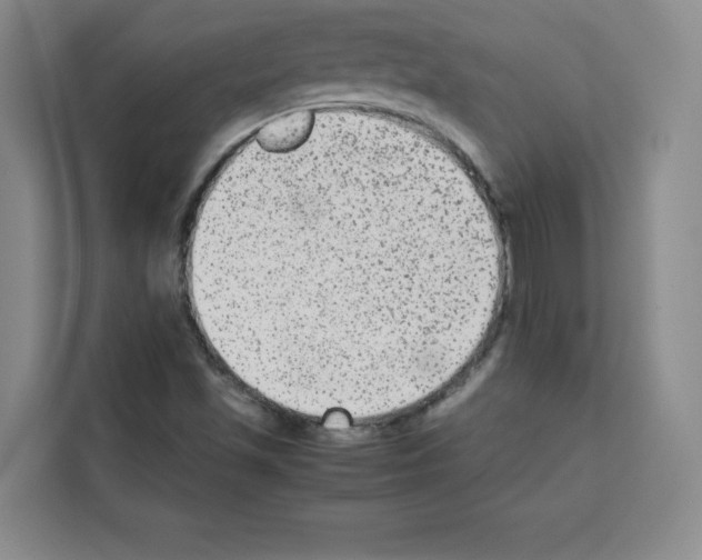 X0000113261501200910221028