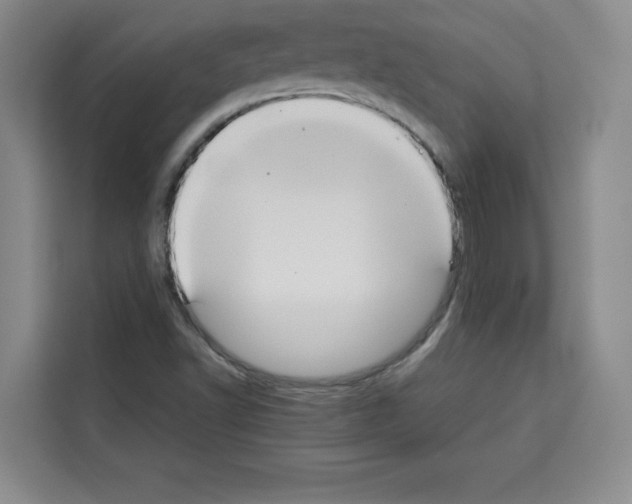 X0000113261502200910221028