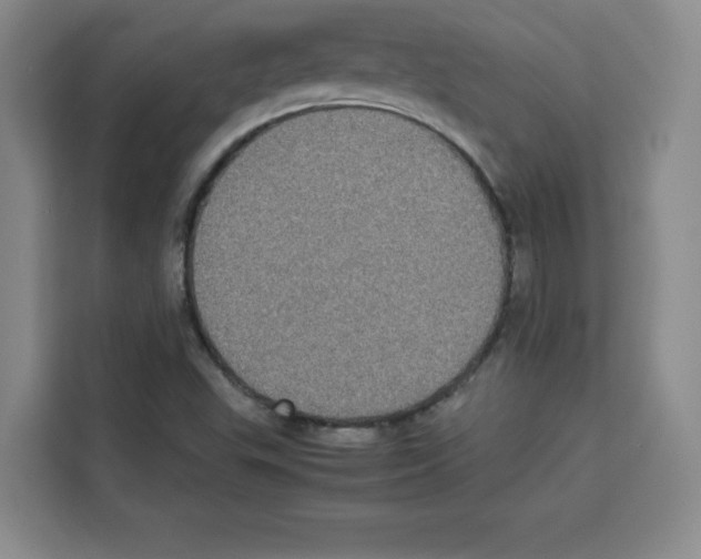 X0000113261503200910221028