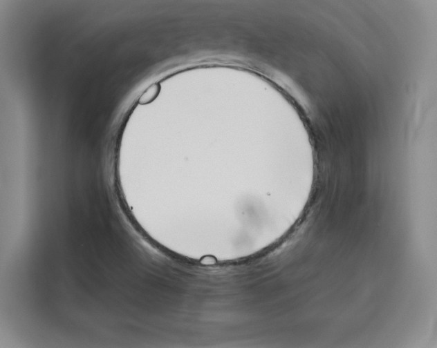 X0000113261504200910221028