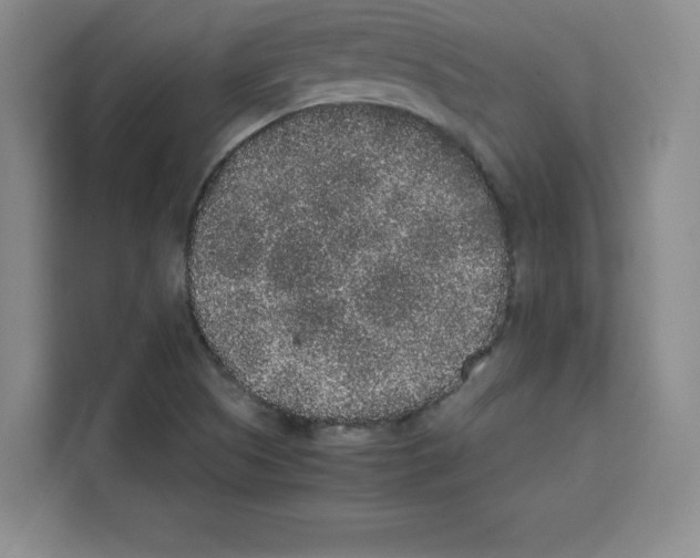 X0000113261505200910221028