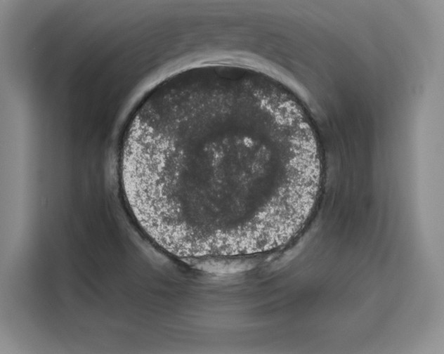 X0000113261506200910221028