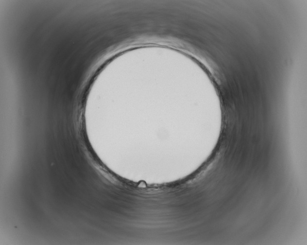 X0000113261507200910221028
