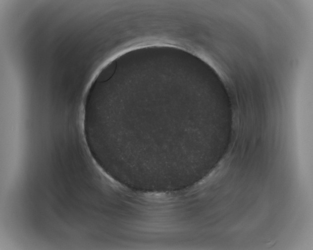 X0000113261508200910221028