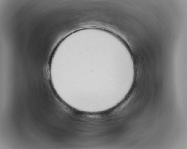 X0000113261509200910221028