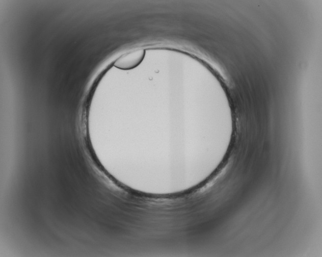 X0000113261510200910221028
