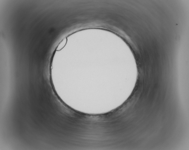 X0000113261512200910221029