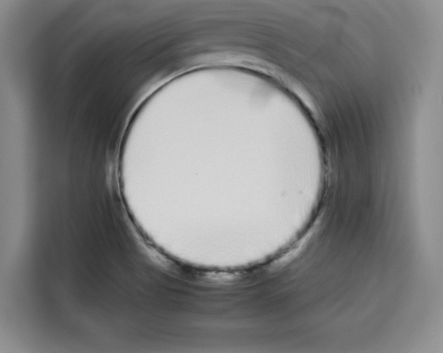 X0000113261513200910221029