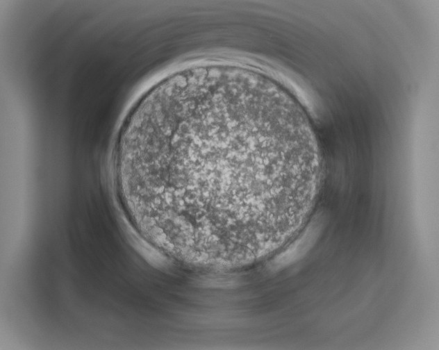 X0000113261514200910221029