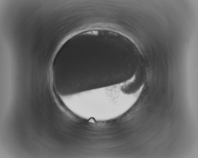 X0000113261515200910221029