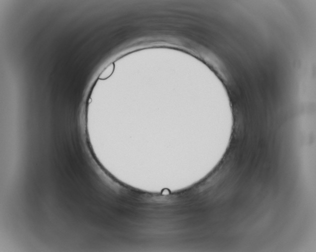 X0000113261516200910221029