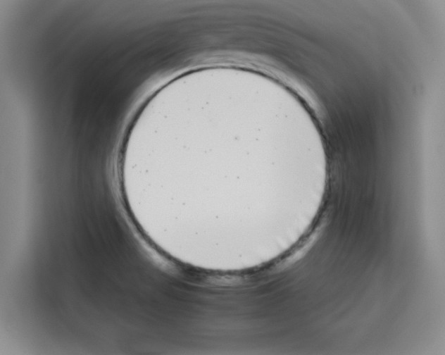 X0000113261517200910221029