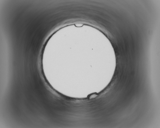 X0000113261518200910221029