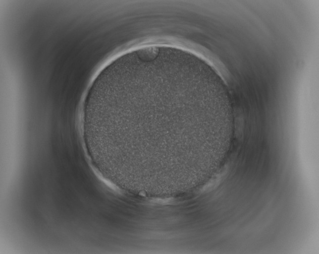 X0000113261519200910221029