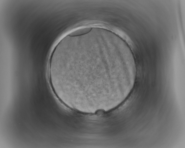 X0000113261520200910221029