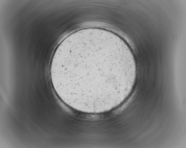 X0000113261521200910221029