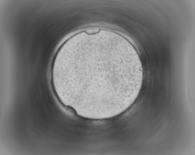 X0000113261523200910221029
