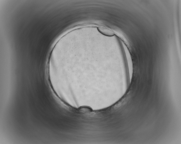 X0000113261524200910221029