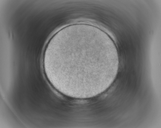 X0000113261525200910221029