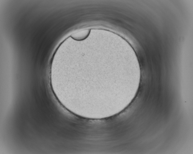 X0000113261526200910221029