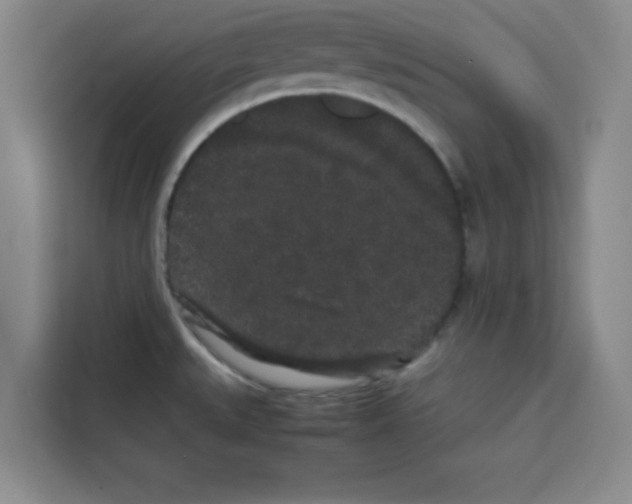 X0000113261527200910221029