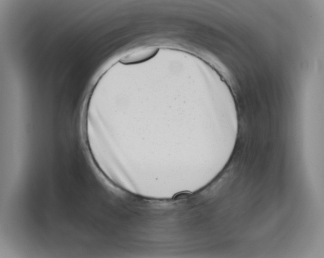 X0000113261528200910221029