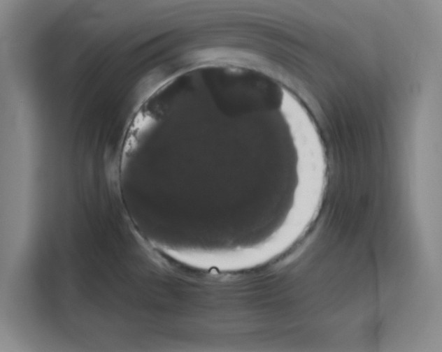 X0000113261529200910221029
