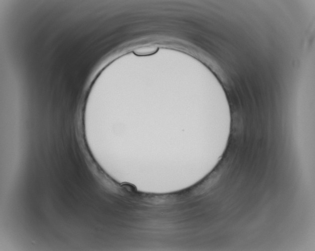 X0000113261530200910221029