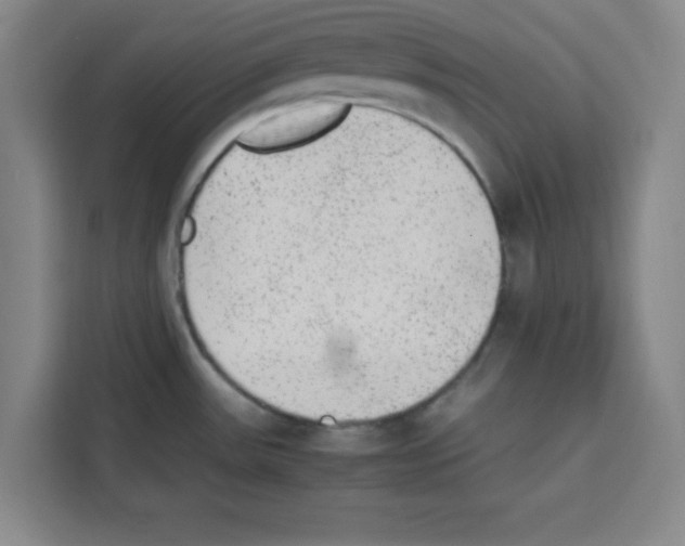 X0000113261531200910221029