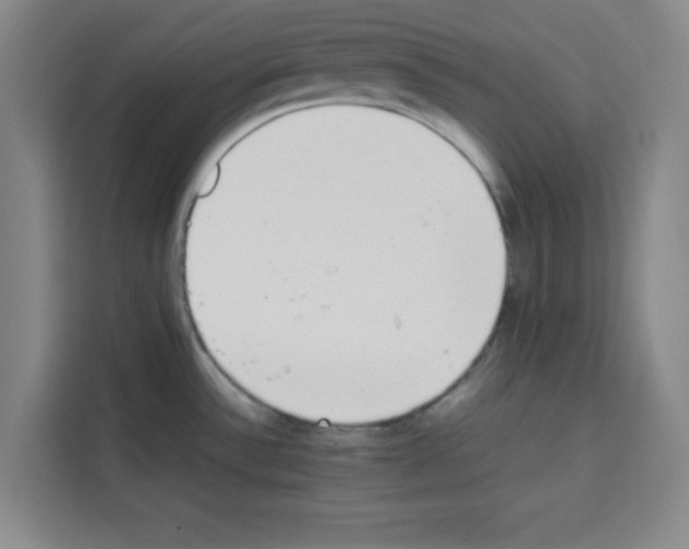 X0000113261532200910221029